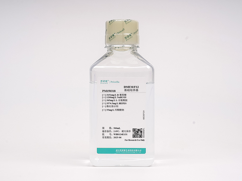 https://789.bio/ec/GOGRKK