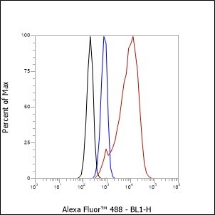 Recombinant MCM7 Monoclonal Antibody - small - 6