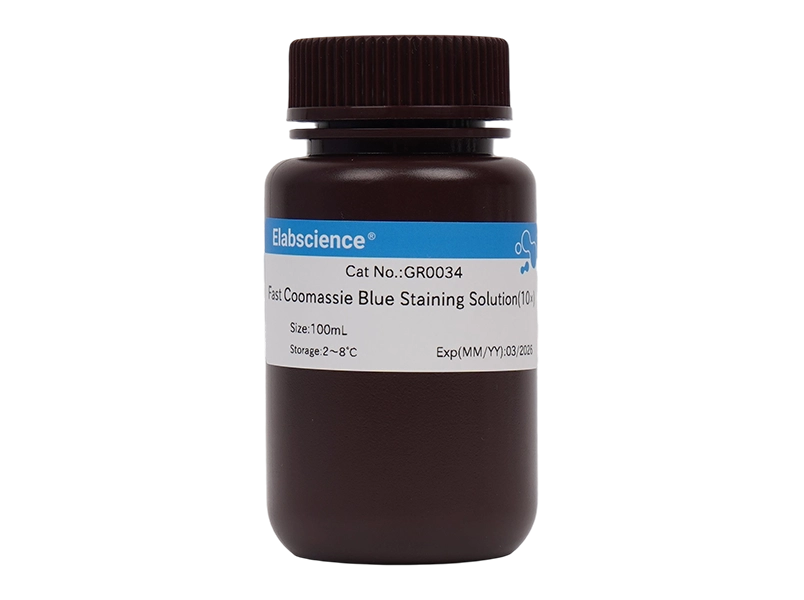 Fast Coomassie Blue Staining Solution (10×)
