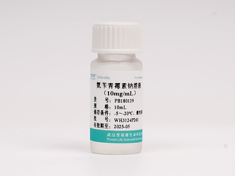 https://789.bio/ec/GRGZmL