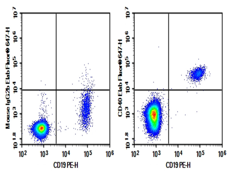 Purified Anti-Human CD80 Antibody[2D10]-产品推荐-1