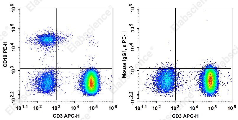 PE Anti-Human CD19 Antibody[HIB19] - 1