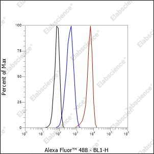 Recombinant Smac/Diablo Monoclonal Antibody - 4