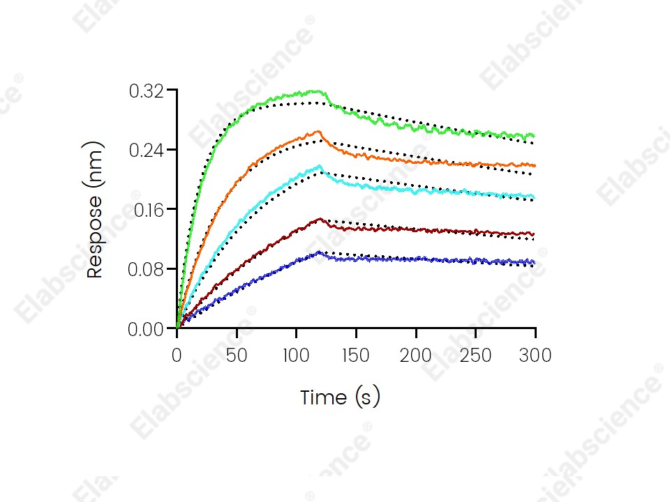 Recombinant Human PD-1/PDCD1 Protein (His Tag) - 4