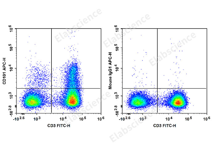 Human peripheral blood lymphocytes are stained with FITC Anti-Human CD3 Antibody and APC Anti-Human CD101 Antibody[BB27] (Left). Lymphocytes are stained with FITC Anti-Human CD3 Antibody and APC Mouse IgG1, κ Isotype Control (Right).