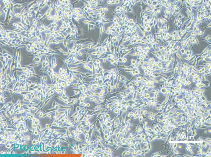 LA795 Cell Complete Medium - 2