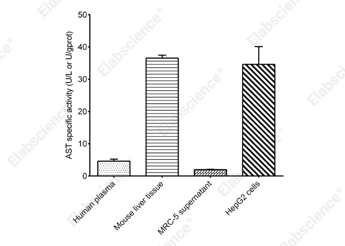 Aspartate Aminotransferase (AST/GOT) Activity Assay Kit - 2