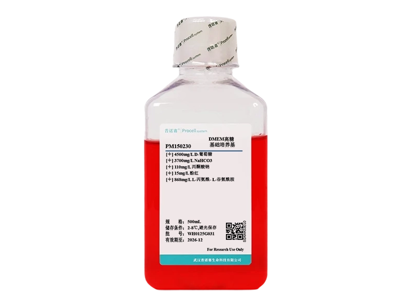 https://789.bio/ec/GfuCb9ow