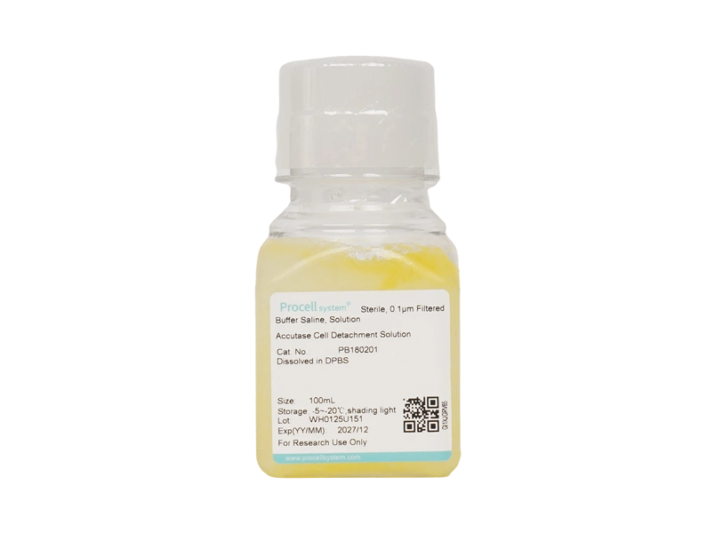 Accutase Cell Detachment Solution