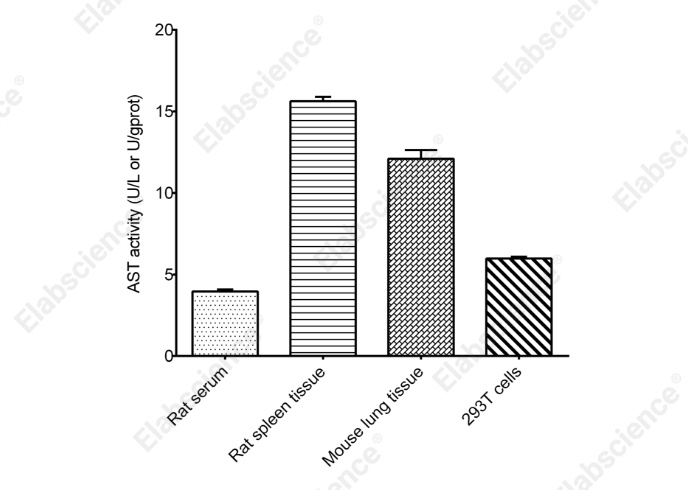 Aspartate Aminotransferase (AST/GOT) Activity Fluorometric Assay Kit - 2