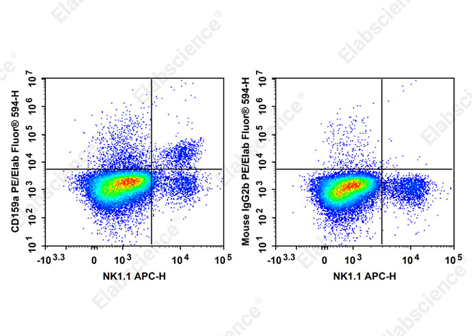 PE/Elab Fluor® 594 Anti-Mouse CD159a Antibody[16A11]-1