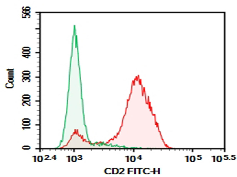 Purified Anti-Human CD2 Antibody[RPA-2.10]-1