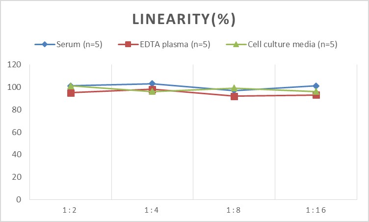 Rat TNF-α(Tumor Necrosis Factor Alpha) ELISA Kit-产品推荐-5