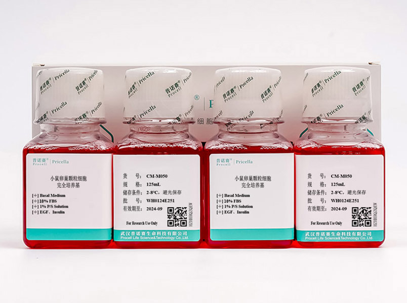 https://789.bio/ec/GpDV5O