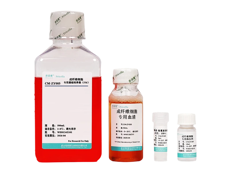 https://789.bio/ec/GpHleH