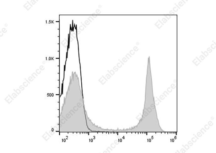 PE Anti-Mouse CD45R (B220)  Antibody[RA3-6B2]-1
