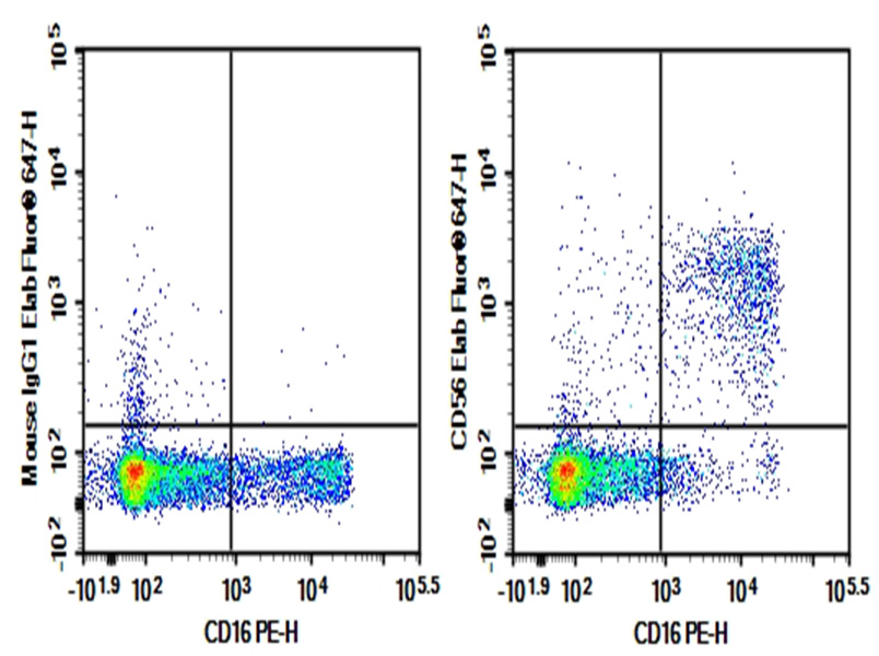 Purified Anti-Human CD56 Antibody[B-A19]-1