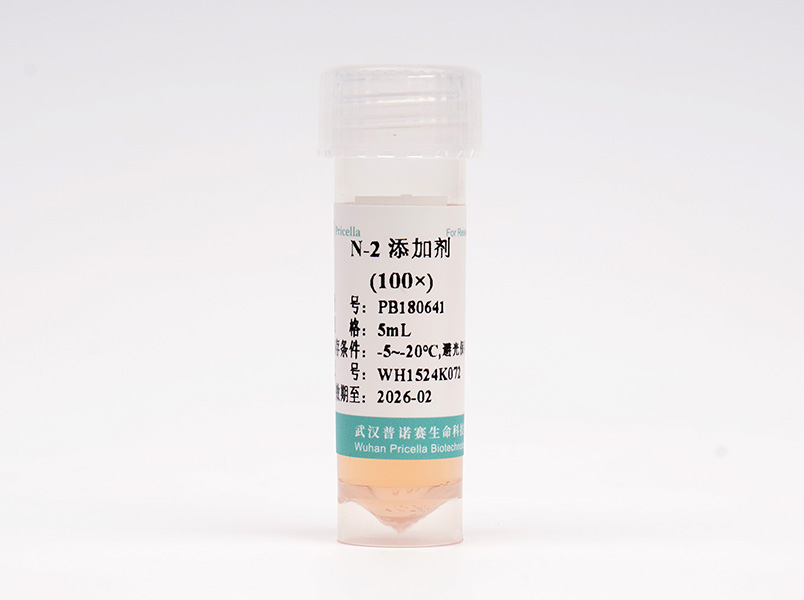 https://789.bio/ec/GpiyaH
