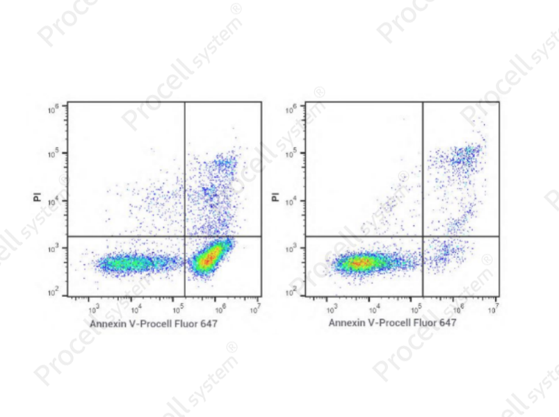 Annexin V-Procell Fluor 647 Azide-Free Lyophilized Powder