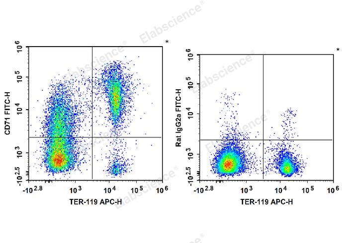 C57BL/6 murine bone marrow cells are stained with APC Anti-Mouse TER-119 Antibody and FITC Anti-Mouse CD71 Antibody (Left). Bone marrow cells are stained with APC Anti-Mouse TER-119 Antibody and FITC Rat IgG2a, κ Isotype Control (Right).