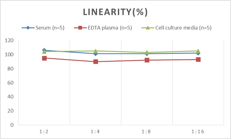 High Sensitivity Rat TNF-α(Tumor Necrosis Factor Alpha) ELISA Kit-1