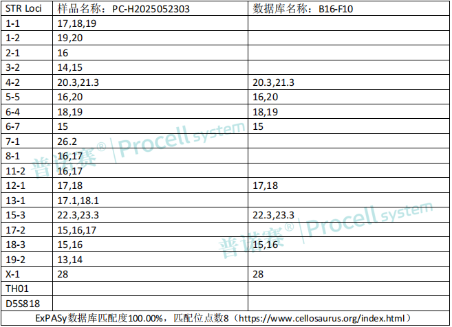 photo1