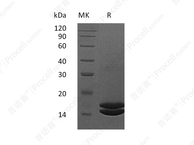 https://789.bio/ec/GxP8hP