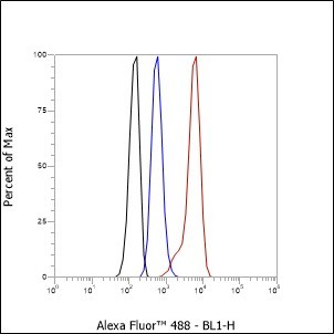 Recombinant Gelsolin Monoclonal Antibody - small - 4