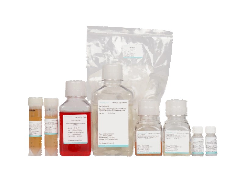 Mouse Cardiac Microvascular Endothelial Cell Isolation and Culture KitMouse Cardiac Microvascular Endothelial Cell Isolation and Culture Kit - 2