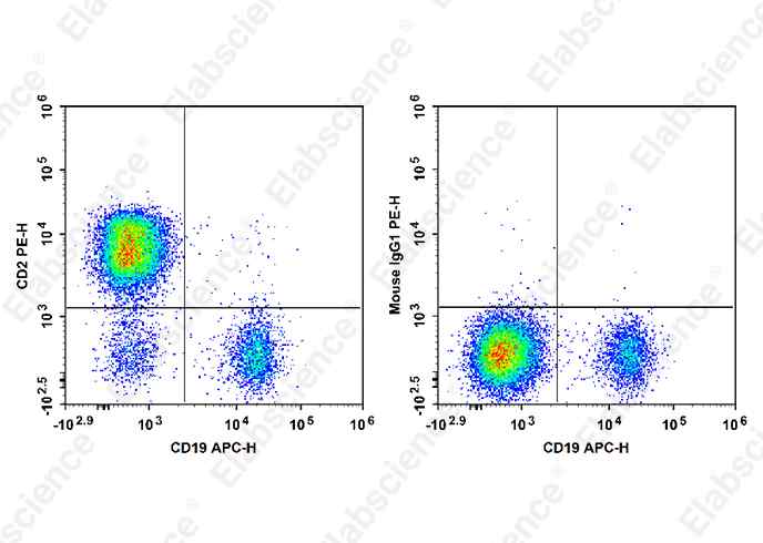 PE Anti-Human CD2 Antibody[HIT11]-1