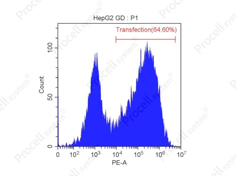 Mergene1000<sup>&reg;</sup> Hep G2 Cell-Specific DNA Transfection Reagent - 2