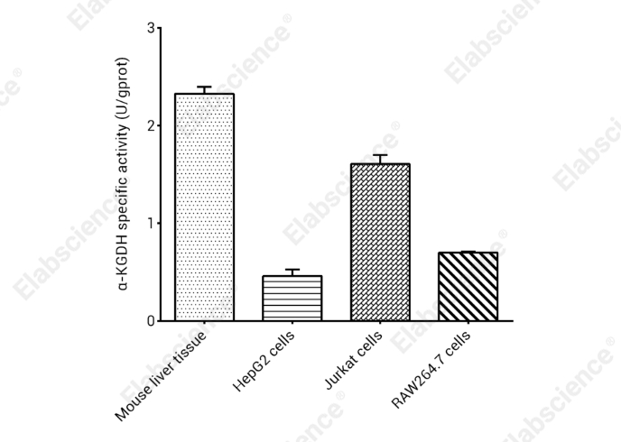 α-Ketoglutarate Dehydrogenase (α-KGDH) Activity Colorimetric Assay Kit - 2