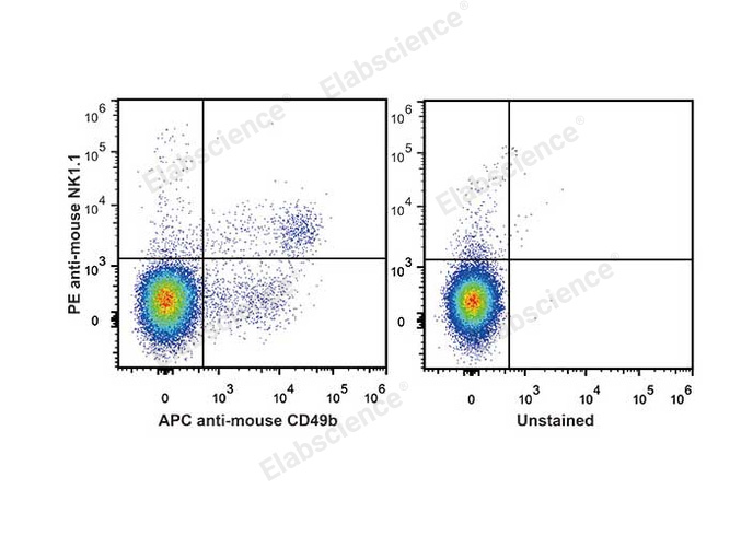 PE Anti-Mouse CD161/NK1.1 Antibody[PK136]-1