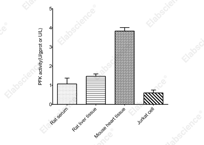 Phosphofructokinase（PFK）Activity Assay Kit - 1