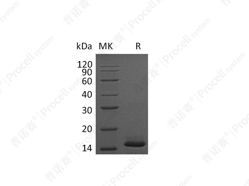 https://789.bio/ec/H4hLOG
