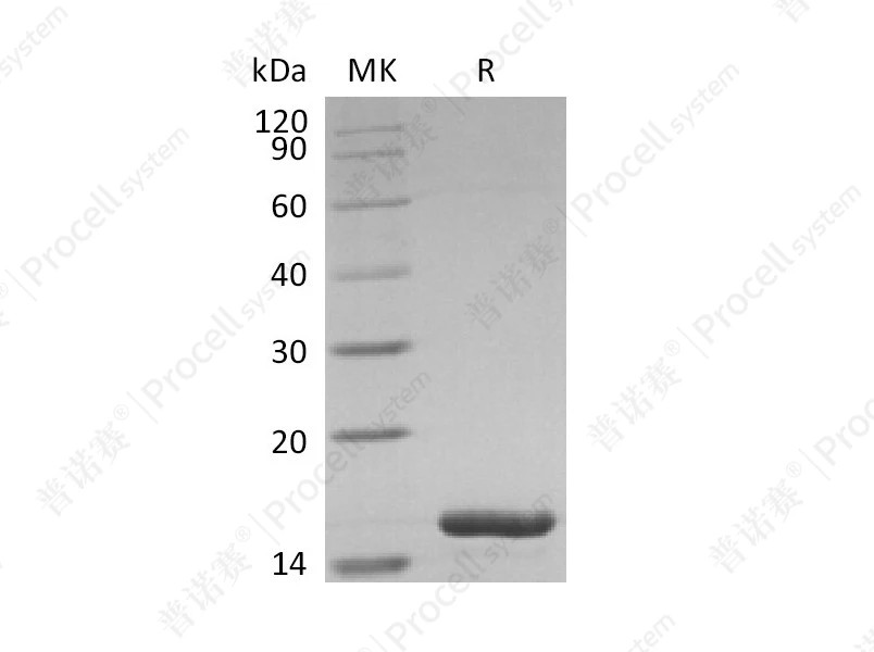 https://789.bio/ec/H84hHK