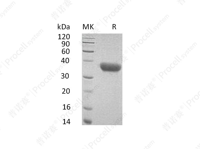 https://789.bio/ec/H8xm1C