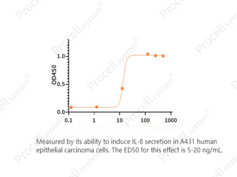 IL-36γ/IL-1F9, Human, RecombinantIL-36γ/IL-1F9, Human, Recombinant - 2