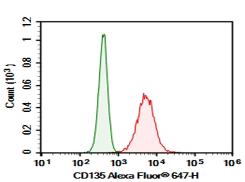 Purified Anti-Human CD135 Antibody[4G8] - 1