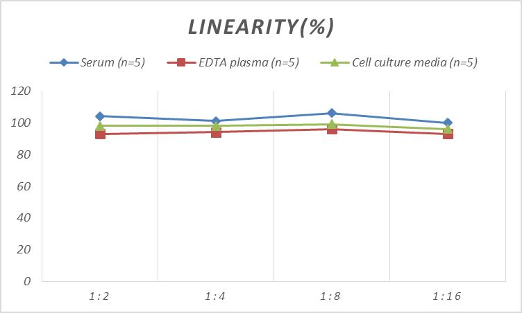 QuicKey Pro Mouse IgG(Immunoglobulin G) ELISA Kit-产品推荐-11