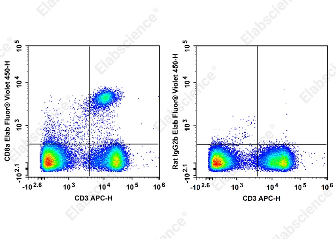 Elab Fluor<sup>®</sup>Violet 450 Anti-Mouse CD8a Antibody[2.43] - 1