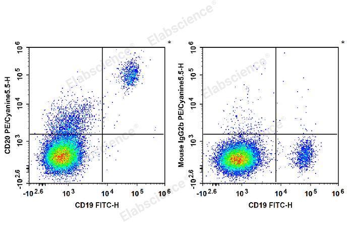 Human peripheral blood lymphocytes are stained with FITC Anti-Human CD19 Antibody and PE/Cyanine5.5 Anti-Human CD20 Antibody (Left). Lymphocytes are stained with FITC Anti-Human CD19 Antibody and PE/Cyanine5.5 Mouse IgG2b, κ Isotype Control (Right).