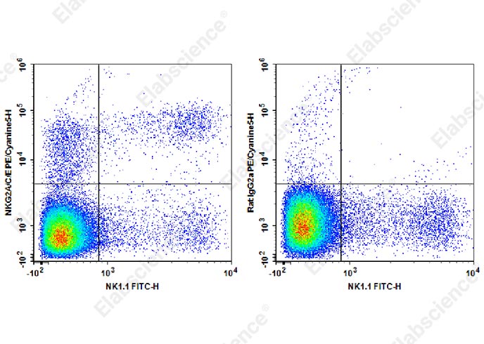PE/Cyanine5 Anti-Mouse NKG2A/C/E Antibody[20d5]-1