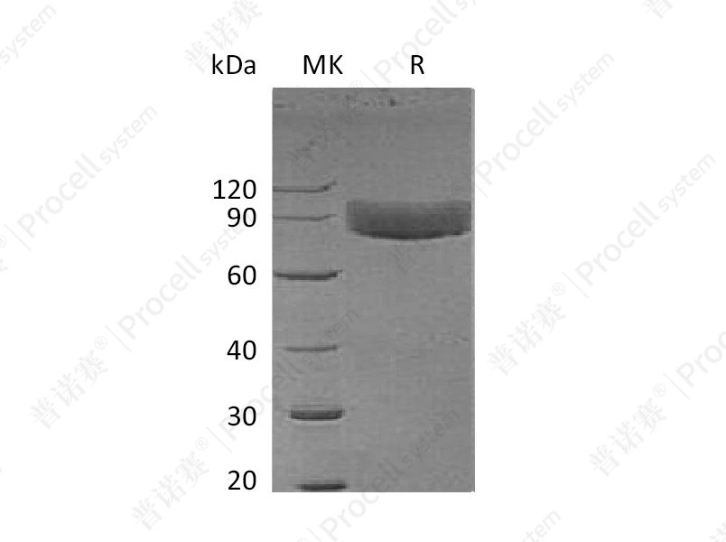 https://789.bio/ec/HKhSp1