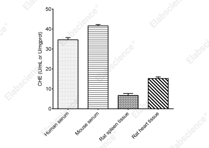 Cholinesterase (CHE) Activity Assay Kit - 1