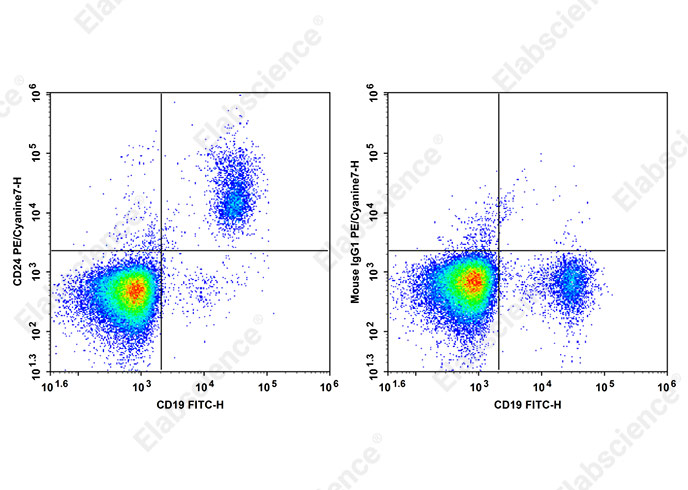 PE/Cyanine 7 Anti-Human CD24 Antibody[HIQB24]-1