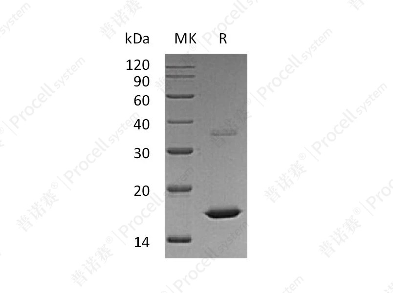 https://789.bio/ec/HO40pH