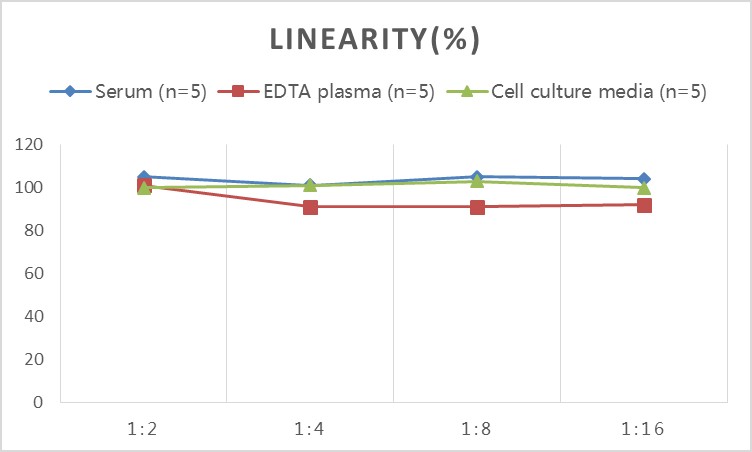 Mouse ANG(Angiogenin) ELISA Kit - 2