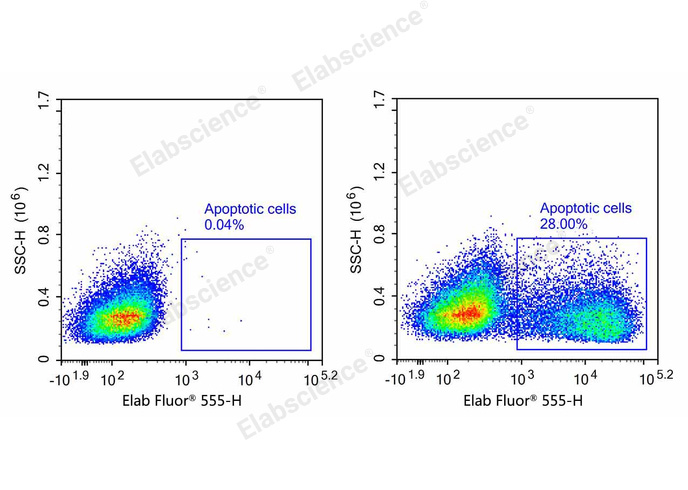 One-step TUNEL Flow Cytometry Apoptosis Kit (Red, Elab Fluor® 555)-1
