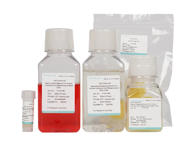 Human Umbilical Cord Mesenchymal Stem Cell Isolation and Culture KitHuman Umbilical Cord Mesenchymal Stem Cell Isolation and Culture Kit - 1